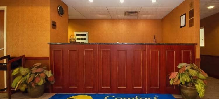 格罗夫城-南哥伦布舒适酒店(Comfort Inn Grove City - Columbus South)图片