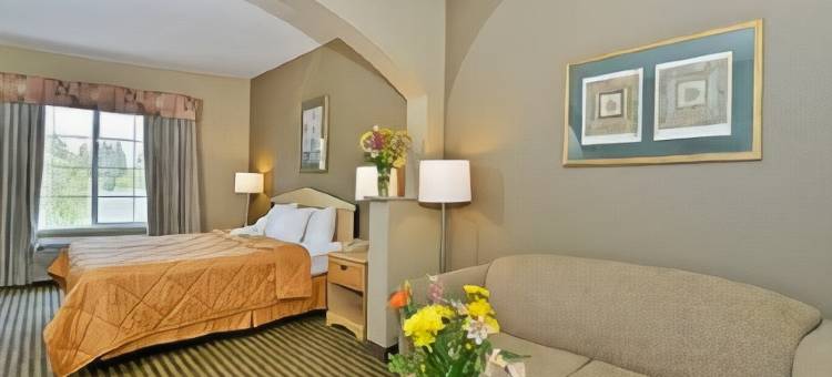 舒适套房酒店-萨克拉门托大学城(Comfort Inn & Suites Sacramento - University Area)图片