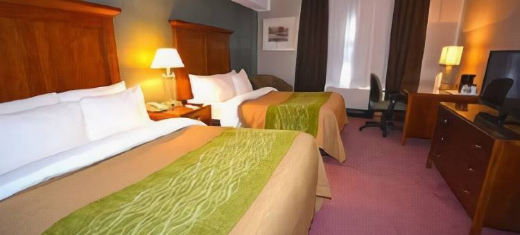 霍霍港舒适酒店(Comfort Inn)图片