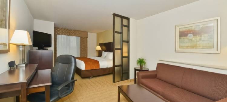 舒适套房酒店(Comfort Suites)图片