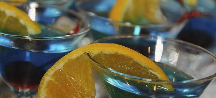 Hotel Indigo 芝加哥弗农山庄(Hotel Indigo Chicago-Vernon Hills)图片