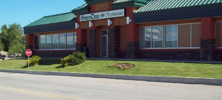 Holiday Inn 欣顿(Holiday Inn Hinton)图片