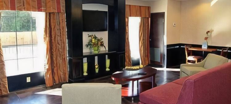 萨尔弗 - 查尔斯湖舒适套房酒店(Comfort Suites Sulphur-Lake Charles)图片