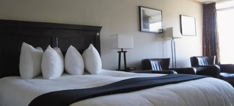 威廉国王罗德威旅馆(Rodeway Inn King William)图片