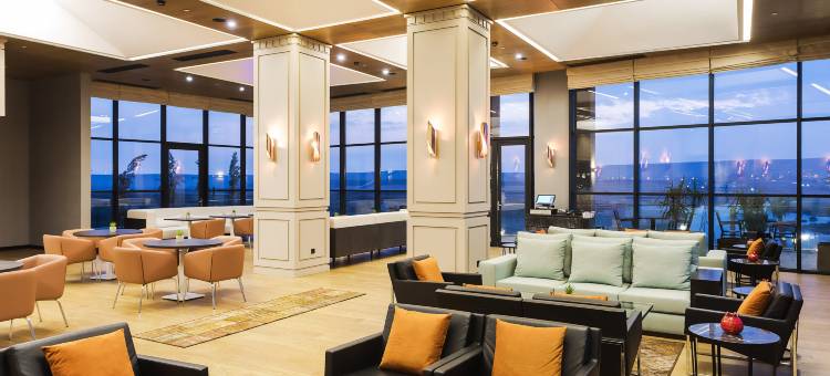 杰德曼齐兹勒(Dedeman Cizre Hotel)图片