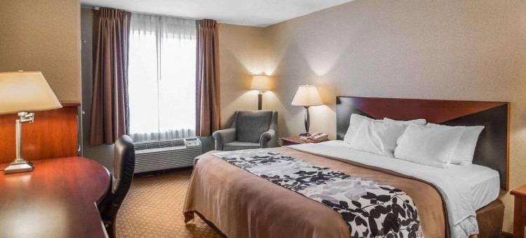 罗德威套房旅馆(Rodeway Inn & Suites)图片