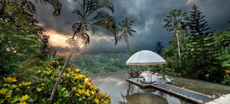 库普库普巴龙洛奇塔内特里Spa别墅度假村(Kupu Kupu Barong Villas & Tree Spa)图片