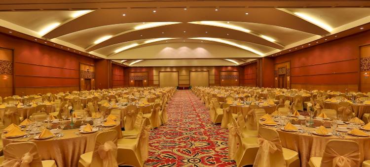 巴邻旁阿里亚酒店(Aryaduta Palembang)图片