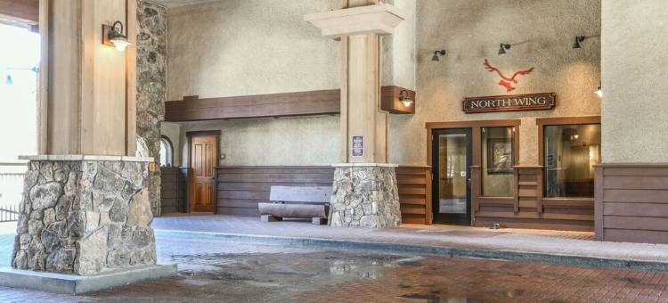 红鹰旅馆 #2235(2235 Red Hawk Lodge)图片