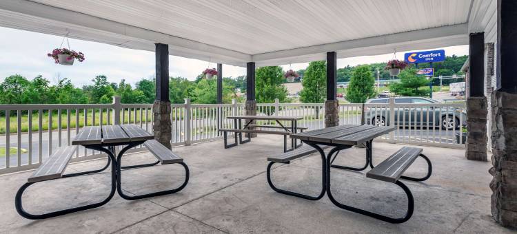 舒适酒店(Comfort Inn)图片