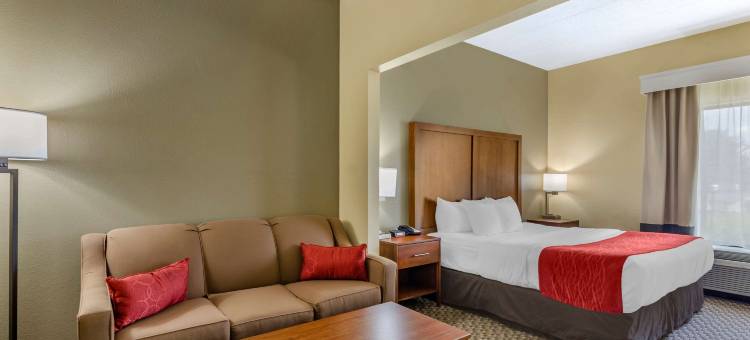 韦恩斯伯勒舒适酒店(Comfort Inn)图片