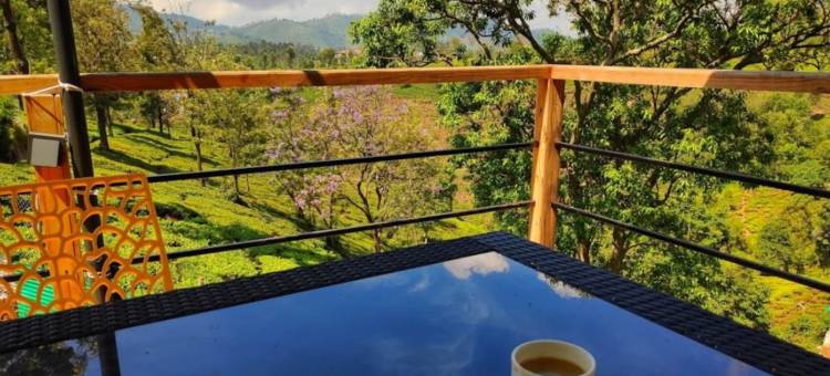 古努尔太阳谷家庭旅馆(Sunvalley Homestay)图片