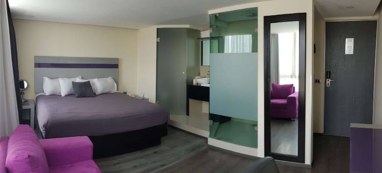 梅特佩克贝斯特韦斯特优质套房酒店(Best Western Plus Metepec  Suites)图片