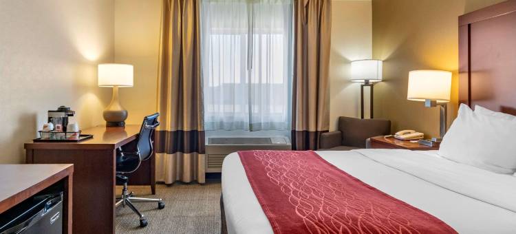 舒适酒店(Comfort Inn)图片