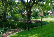 Wild Olive Cottage for 2 People in Wonderful Garden!酒店图片