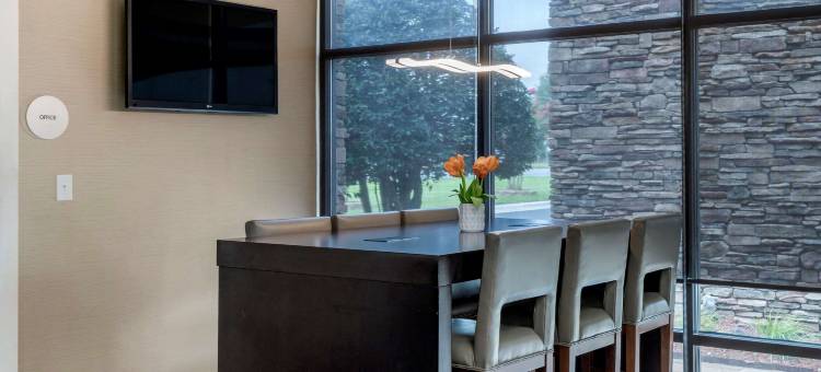 舒适酒店(Comfort Inn)图片