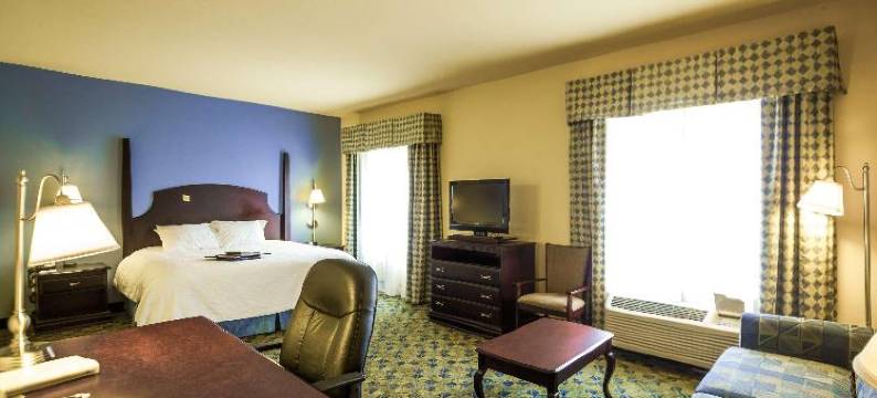 欢朋酒店加纳切兹套房(Hampton Inn & Suites Natchez)图片