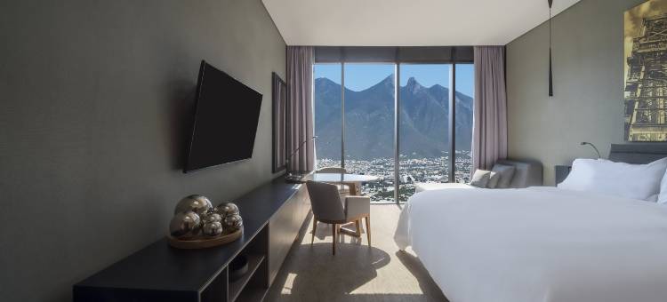 蒙特雷山谷盛大嘉年华美洲酒店(Grand Fiesta Americana Monterrey Valle)图片