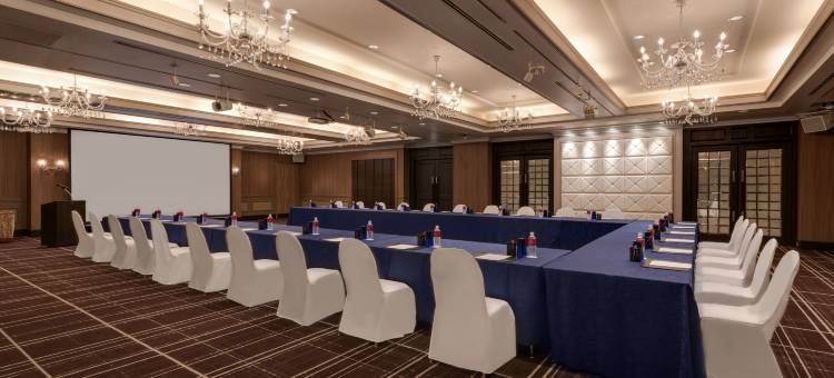 富山全日空皇冠假日酒店 by IHG(ANA Crowne Plaza Toyama by IHG)图片