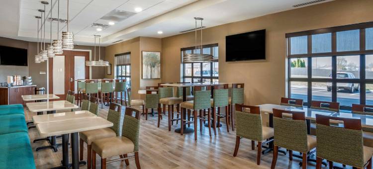 舒适套房酒店(Comfort Inn & Suites)图片