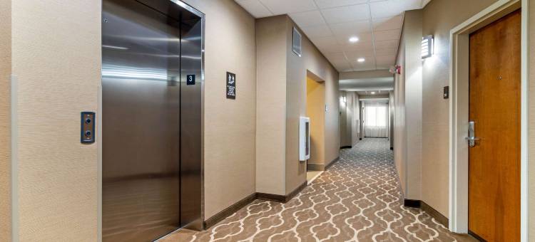 拜伦华纳罗宾斯舒适套房酒店(Comfort Suites Byron Warner Robins)图片