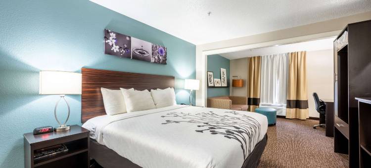 卡尔森、伯明翰 - 胡佛乡村酒店及套房(Sleep Inn & Suites)图片