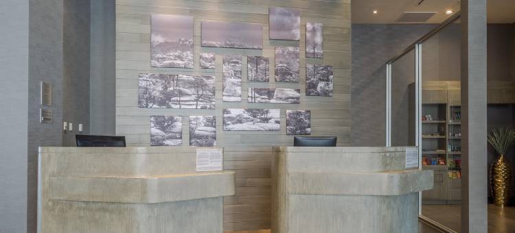 奇瓦瓦万怡酒店(Courtyard Chihuahua)图片