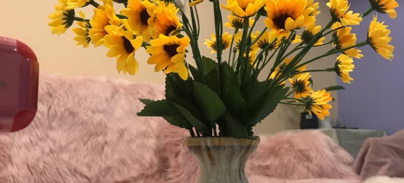 格兰666民宿(东卫生街2号分店)图片