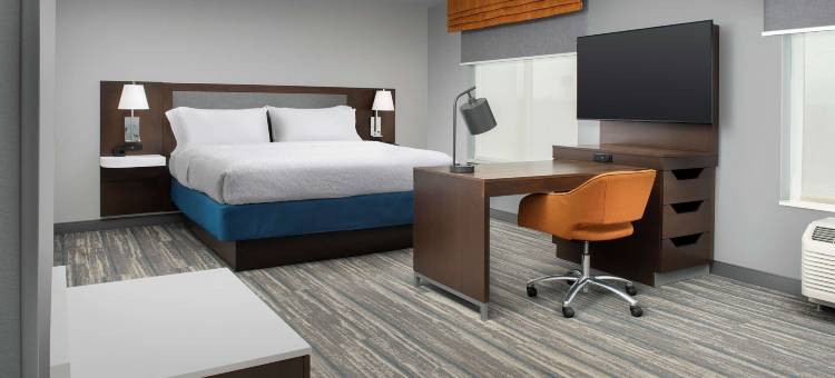 拉什莫尔拉皮德城欢朋套房酒店(Hampton Inn & Suites Rapid City Rushmore)图片