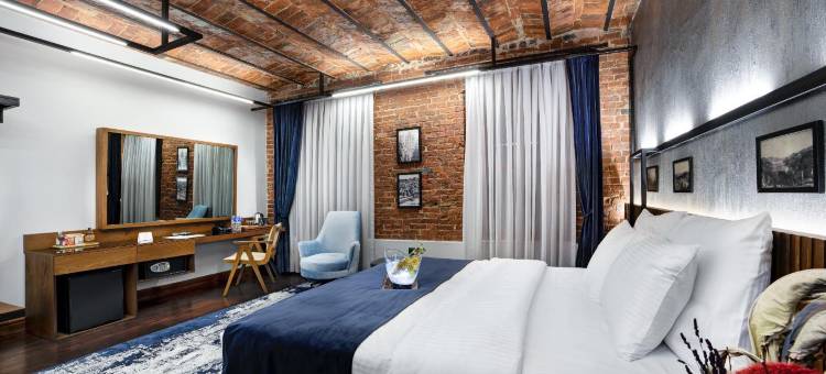 迪卡蒙多加拉塔 - 臻品之选酒店(DeCamondo Galata, a Tribute Portfolio Hotel)图片