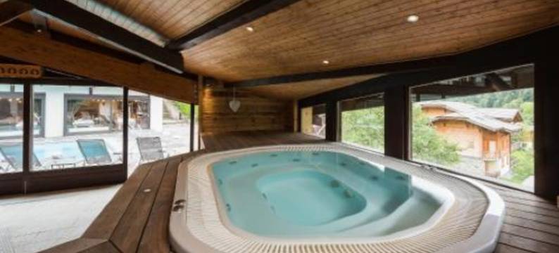 小德鲁酒店(Hotel le Petit Dru)图片