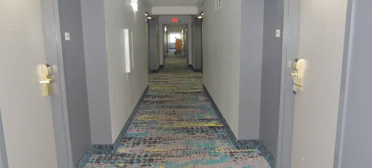 品质酒店(Quality Inn)图片