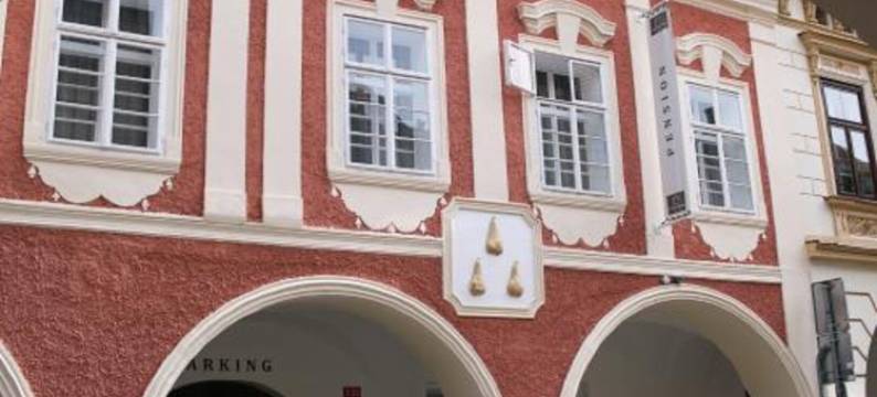 三颗梨套房公寓(Hotel U Tří hrušek Suites & Apartments)图片