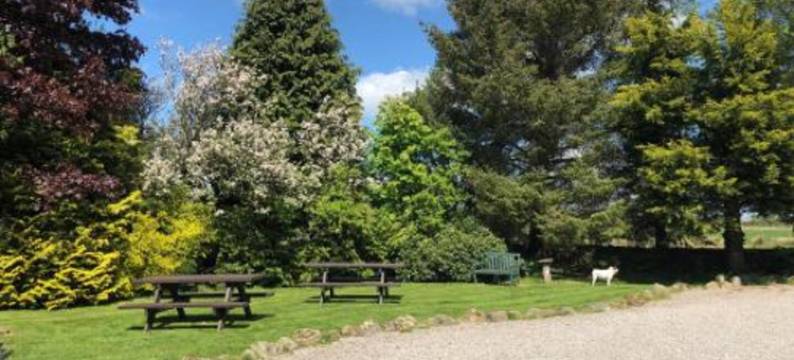 兰恩海德农场乡村旅馆(Lane Head Farm Country Guest House)图片