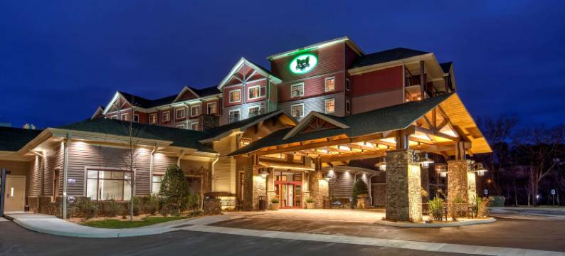 鸽子谷黑狐酒店，希尔顿启缤精选(Black Fox Lodge Pigeon Forge, Tapestry Collection by Hilton)图片