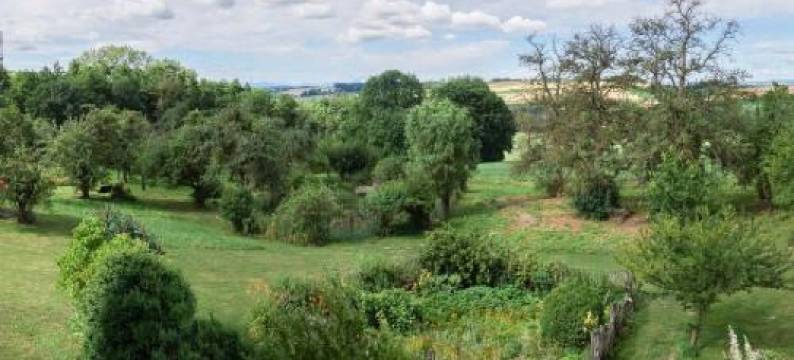 瓦尔德波斯加特公寓(Waldbothgut)图片