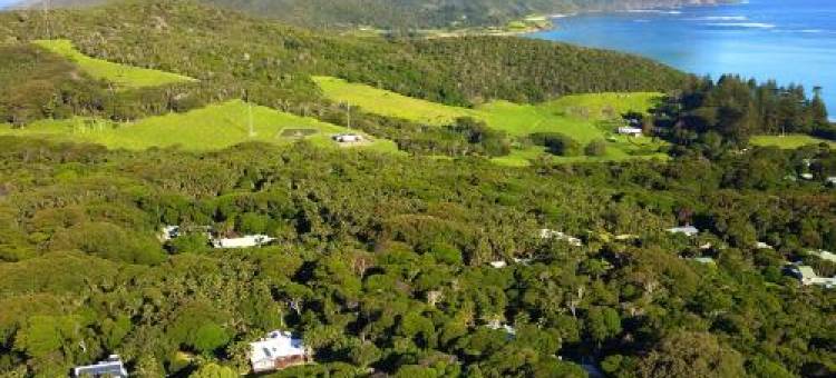 破碎的榕树公寓(The Broken Banyan)图片