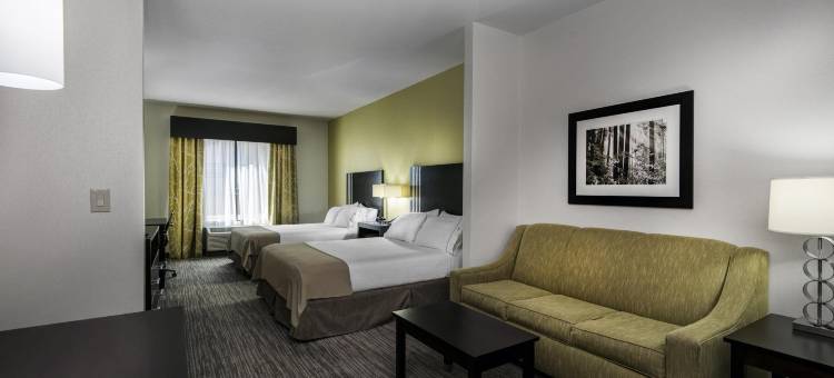 智选假日套房酒店江伟(Holiday Inn Express & Suites Conway)图片