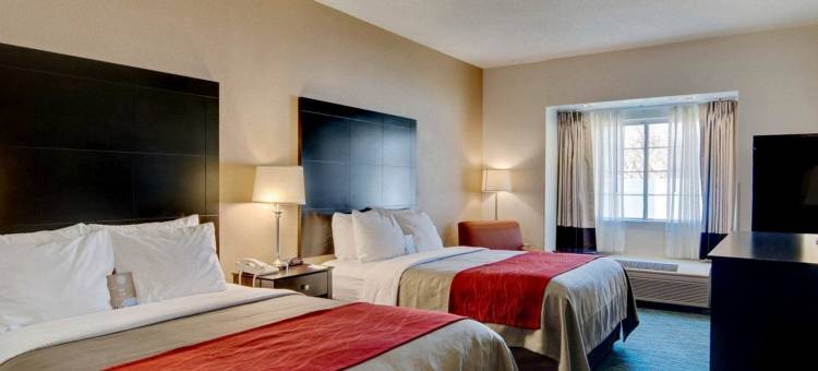艾里山舒适酒店(Comfort Inn Mount Airy)图片