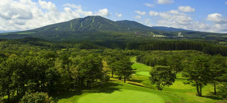 安比高原全日空洲际度假酒店(ANA InterContinental Appi Kogen Resort)图片
