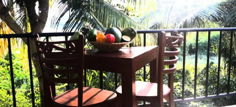 帕迪之家别墅酒店(Rice Field View Home Stay)图片