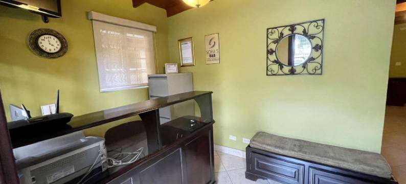 索非亚家庭旅馆精品青年旅舍(Sofia's B&B Hostal Boutique)图片