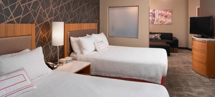 圣路易斯机场/地球城SpringHill套房酒店(SpringHill Suites St. Louis Airport/Earth City)图片