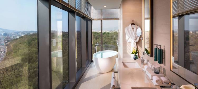 首尔板桥希尔顿逸林酒店(DoubleTree by Hilton Seoul Pangyo)图片