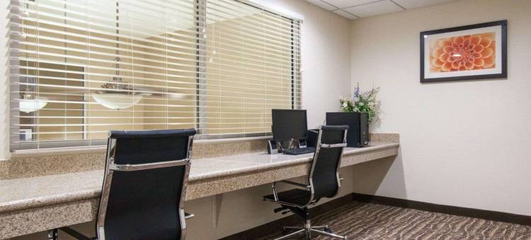 舒适套房酒店-中心/44号州际公路(Comfort Suites Central-I-44)图片