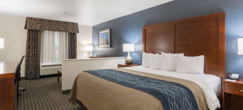 科珀斯克里斯蒂西北贝斯特韦斯特套房酒店(Best Western Northwest Corpus Christi Inn  Suites)图片