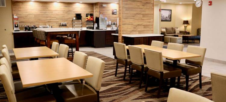 福斯托里亚贝斯特韦斯特套房酒店(Best Western Fostoria Inn  Suites)图片