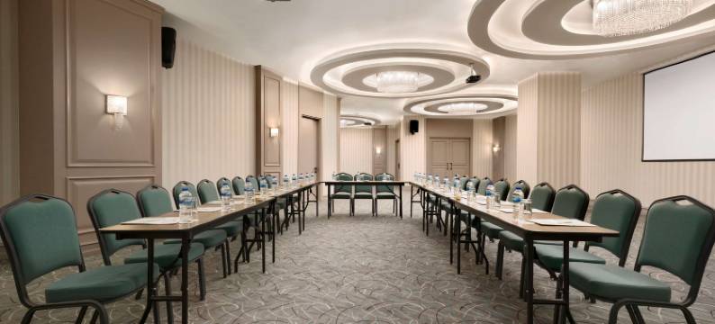 布尔萨尼吕费尔温德姆华美达酒店(Ramada by Wyndham Bursa Nilufer)图片