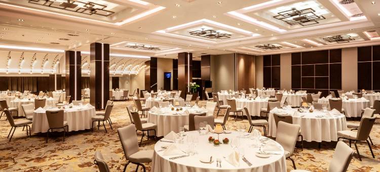 布达佩斯贝克丽笙酒店(Radisson Blu Beke Hotel, Budapest)图片