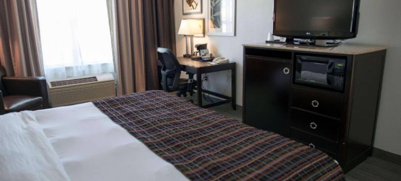 埃芬汉姆丽怡酒店(Country Inn & Suites by Radisson, Effingham, IL)图片